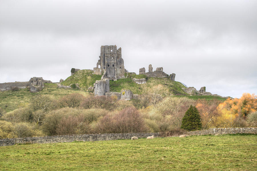 Corfe Castle Photograph by Chris Day