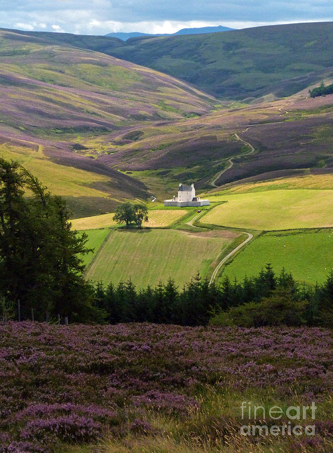 Corgarff Castle - Heather Hills Photograph by Phil Banks
