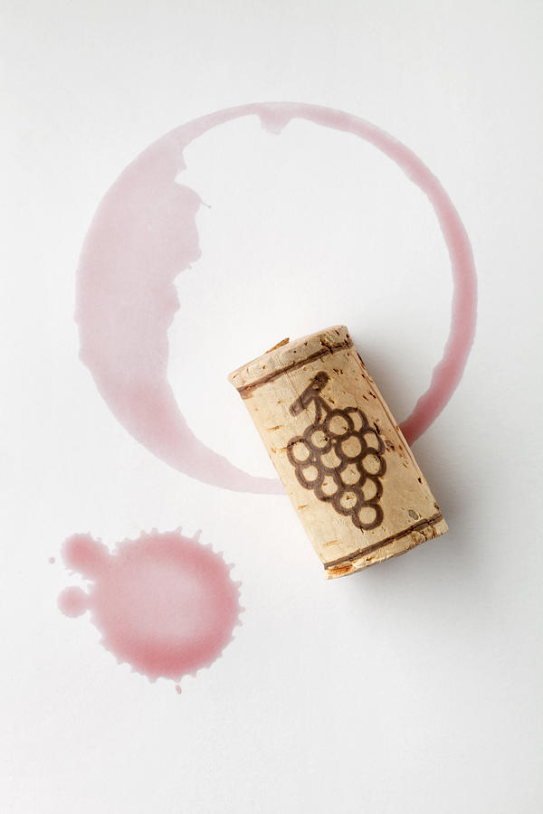 Cork and red wine stain Photograph by Malerapaso