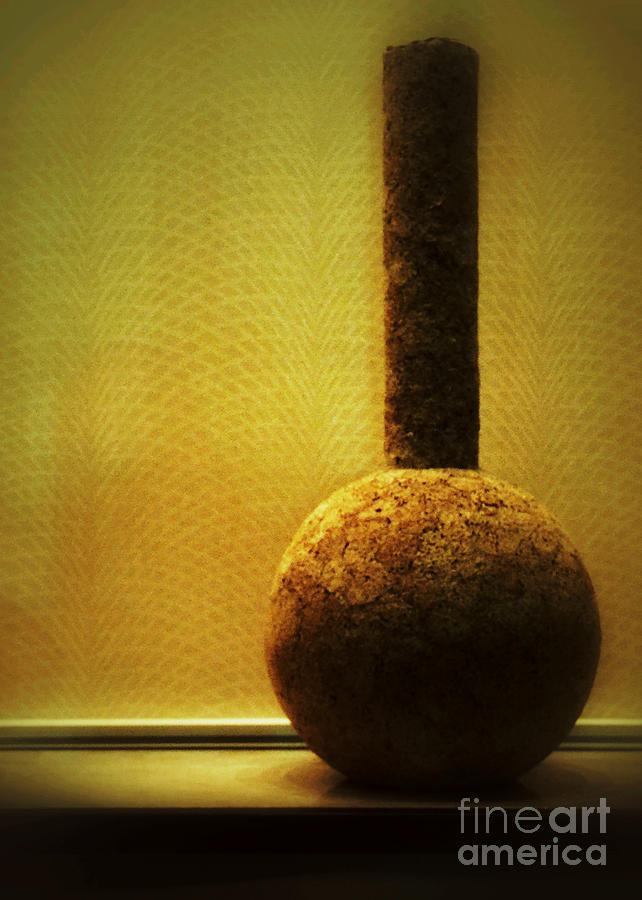 Cork Vase Photograph by Darla Wood