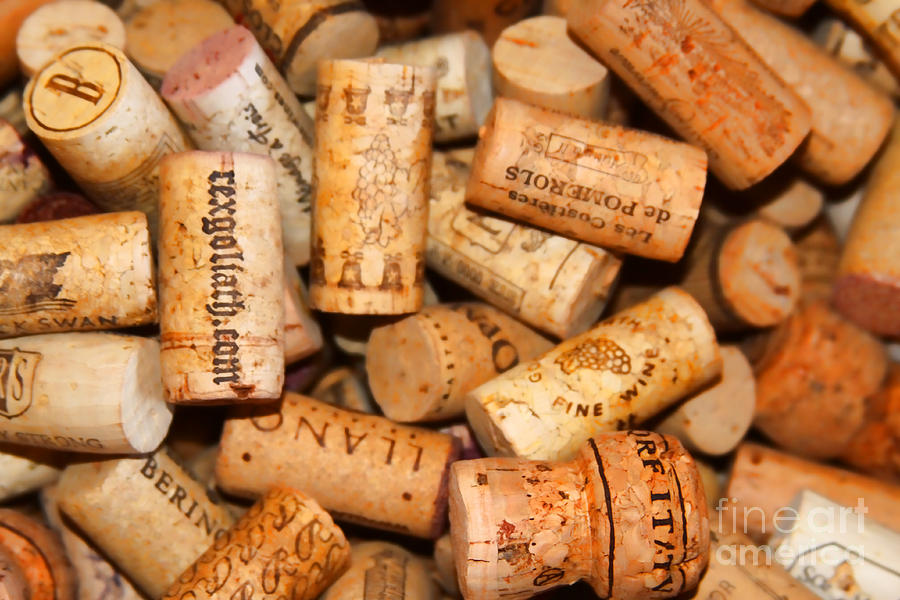 Cork Photograph - Corks by Audreen Gieger