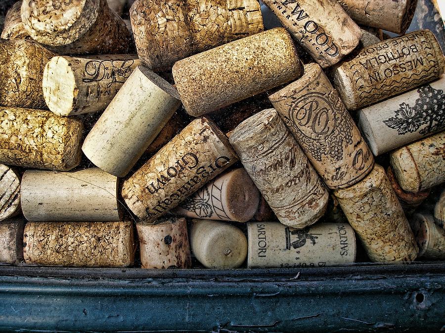 Corks Photograph by Don Margulis
