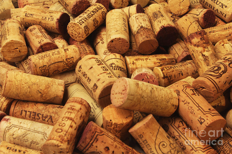 Corks Photograph by Stefano Senise