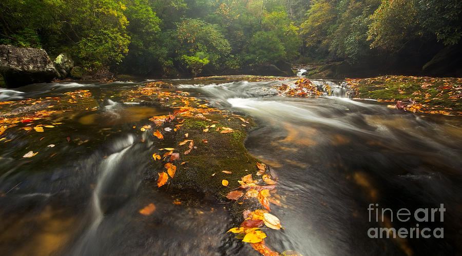 Fall Photograph - Corkscrew Falls on Autumn Morning by Matt Tilghman