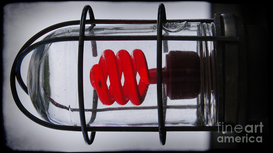 Corkscrew Light Bulb Photograph by Mark Thomas Fine Art America