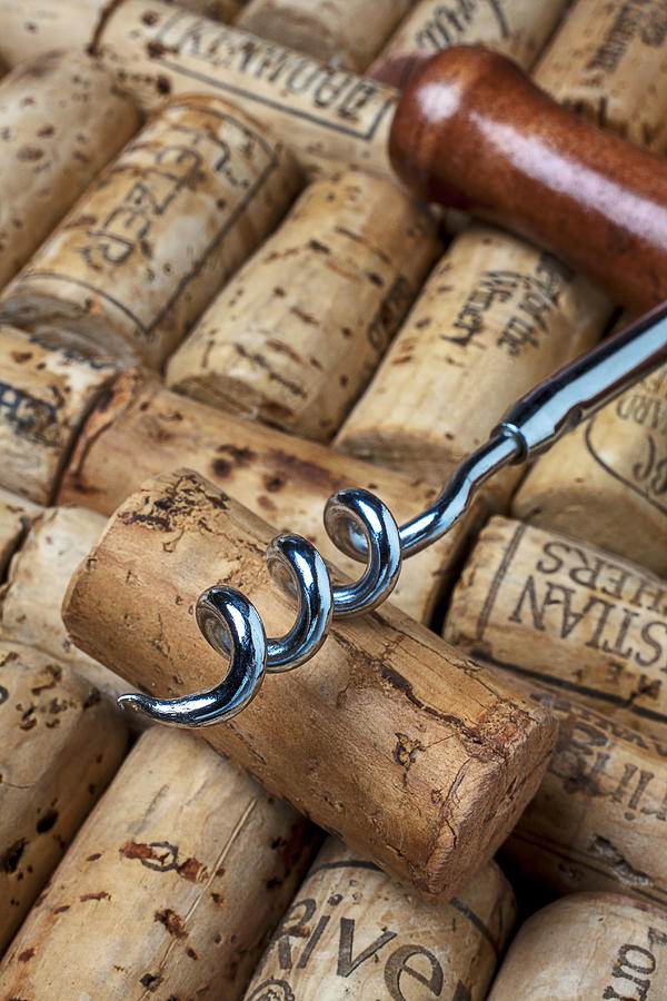 Corkscrew on corks Photograph by Garry Gay