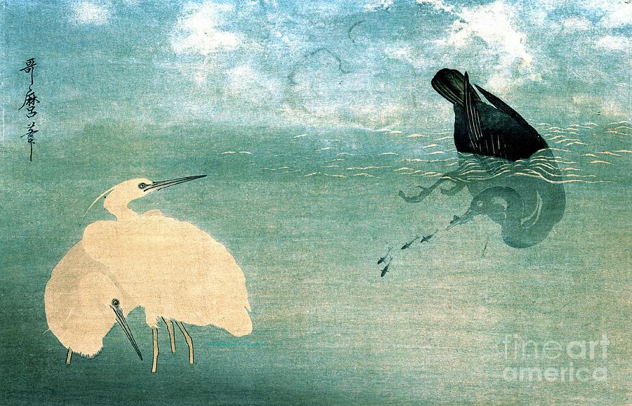 Cormorant and White Heron 1789 Photograph by Padre Art