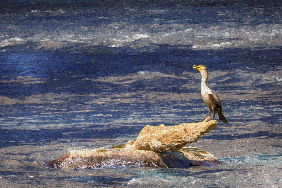 Cormorant Fishing on the French Broad River Painting by John Haldane