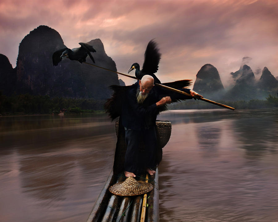 Cormorant Photograph - Cormorant Show2 by Weerapong Chaipuck Cormorant Photograph - Cormorant Show2 by Weerapong Chaipuck