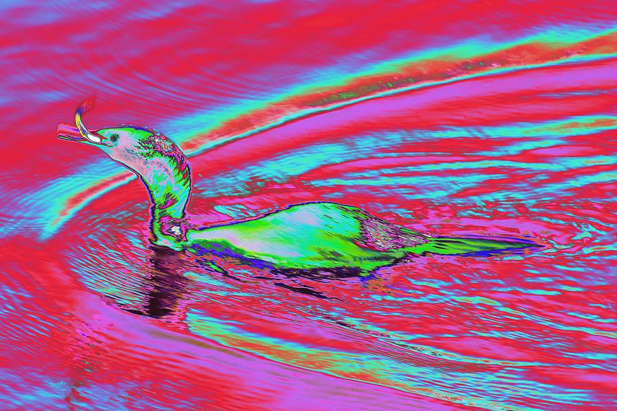 Cormorant With Fish Psychedelicized  Photograph by Richard Henne