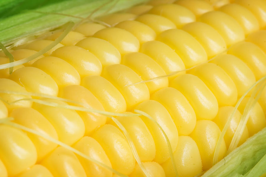 Corn cob Digital Art by Modern Abstract