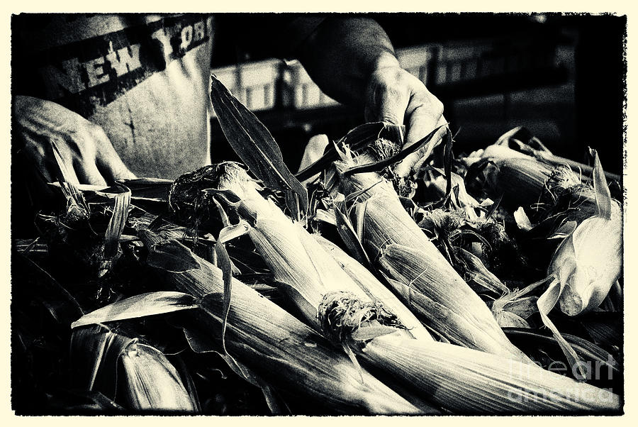 Corn Cobs at the Market New York City Photograph by Sabine Jacobs
