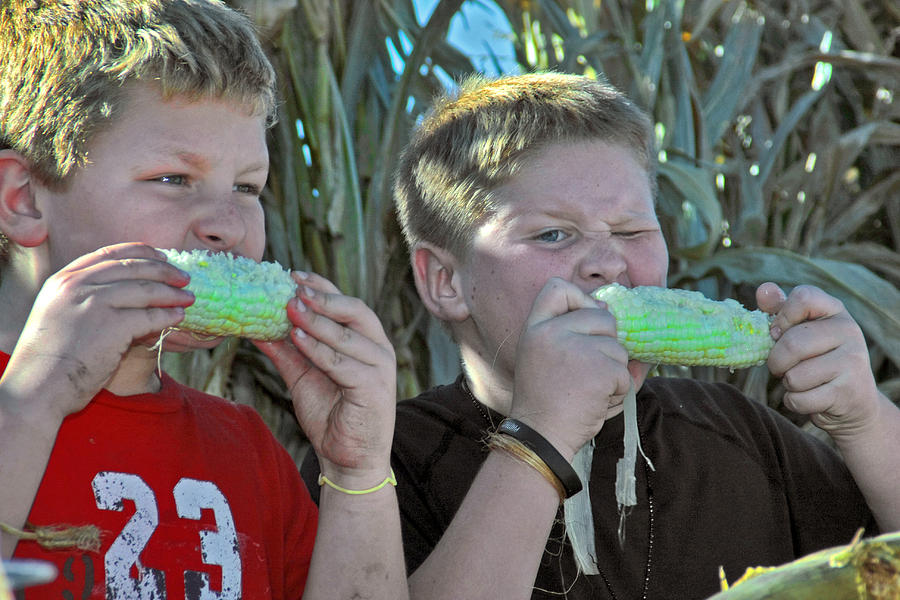 Corn Eating Contest Photograph by Mike Flynn