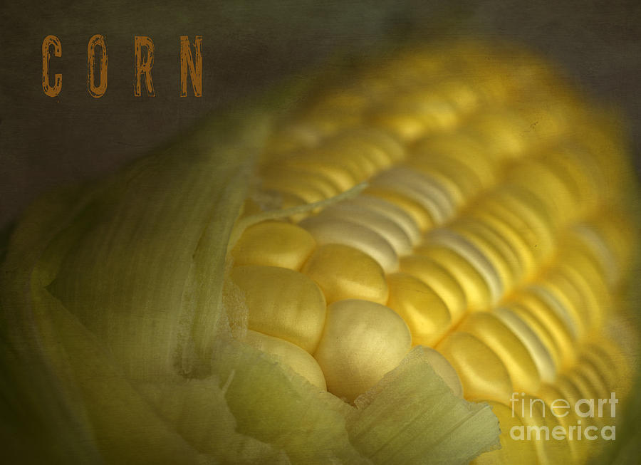 Fall Photograph - Corn by Elena Nosyreva