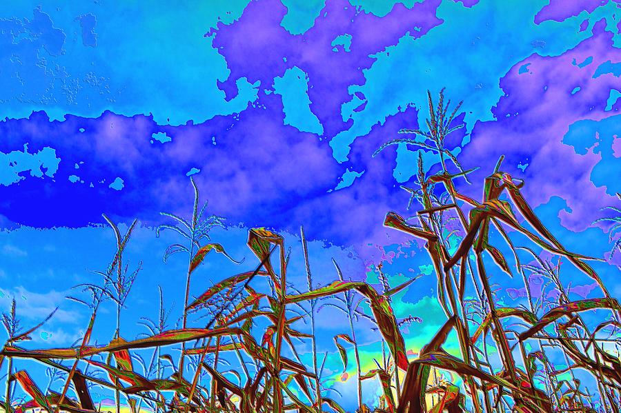 Corn Field and Sky 2  Digital Art by Lyle Crump