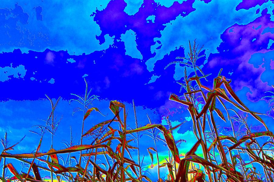 Corn Field and Sky 3 Digital Art by Lyle Crump