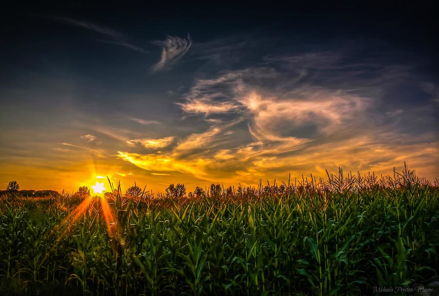 Corn Field Photograph by Michaela Preston - Fine Art America