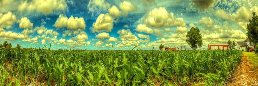 Farm Photograph - Corn field panorama by Caleb McGinn