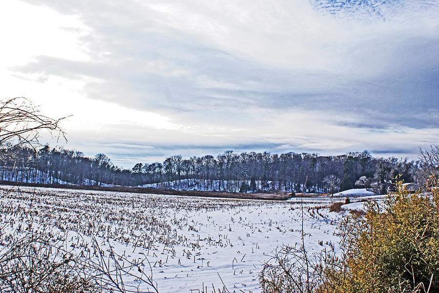 Corn Field Winter Photograph by Bill TALICH