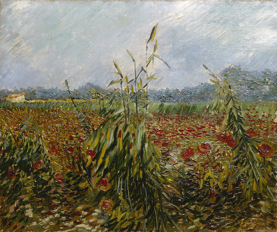 Poppy Painting - Corn Fields And Poppies, 1888 by Vincent van Gogh