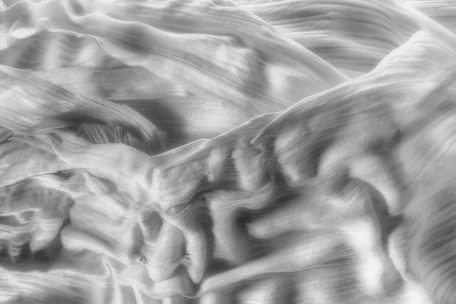 Abstract Photograph - Corn Husk - A Beautiful Chaos by Tom Mc Nemar Abstract Photograph - Corn Husk - A Beautiful Chaos by Tom Mc Nemar