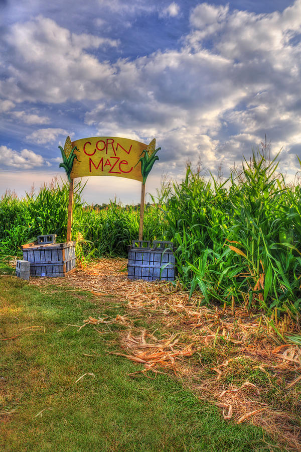 Corn Maze Photograph by Joann Vitali