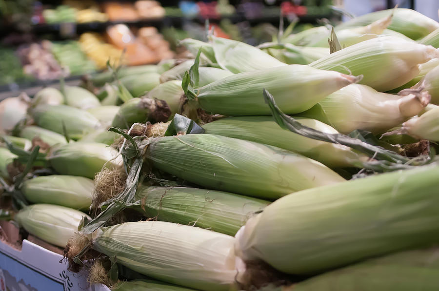 Corn On Display At Farmers Market Photograph by Alex Grichenko