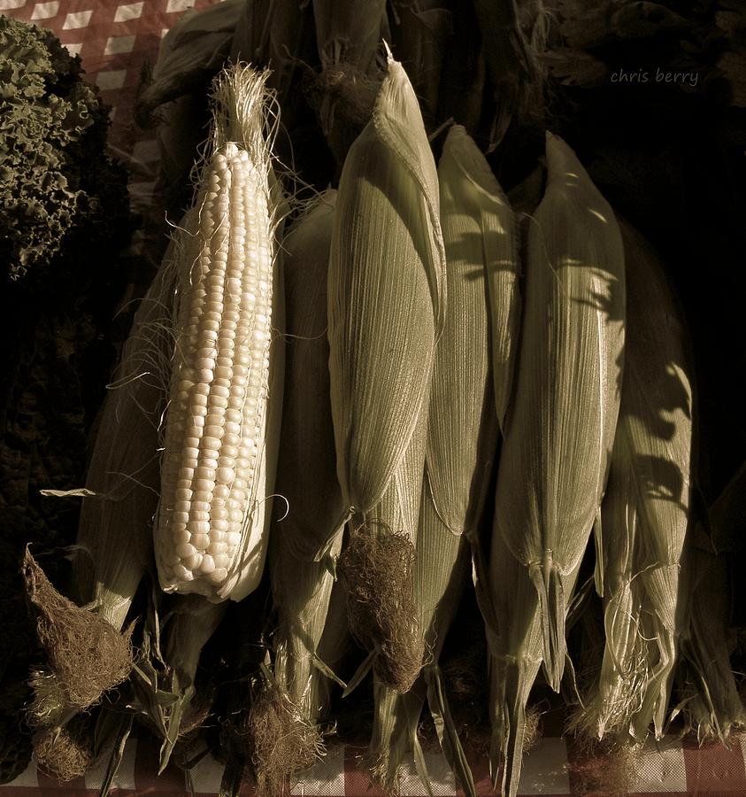 Corn on the Cob  Photograph by Chris Berry