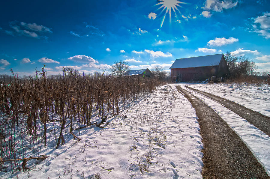 Winter Photograph - Corn Patch and the Farm by Randall Branham