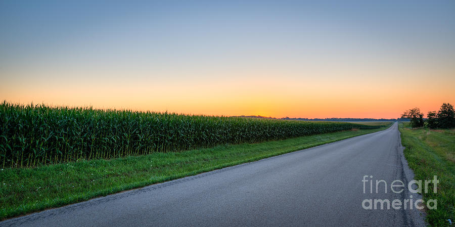 Corn Rows Less Traveled Photograph by Michael Ver Sprill