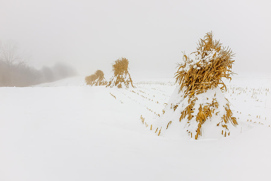 Corn Shocks in a winter field Photograph by Chris Bordeleau