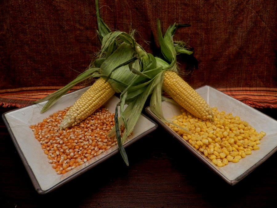 Corn Trio Photograph