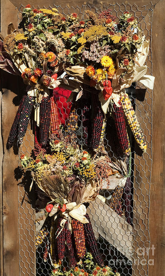 Corn wreaths Photograph by Steven Ralser