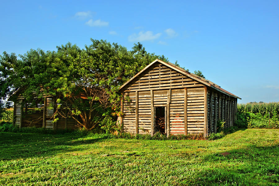 Corncrib in Afternoon Light Photograph by Nikolyn McDonald