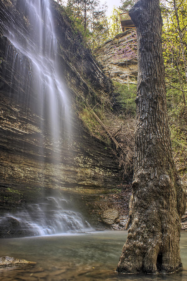 Cornelius Falls - Heber Springs Arkansas Photograph by Jason Politte
