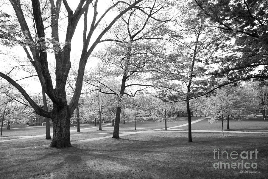 Cornell University Landscape Photograph by University Icons