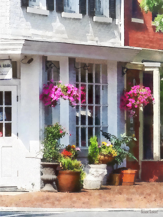 Flower Photograph - Alexandria VA - Corner of King Street and S Alfred by Susan Savad