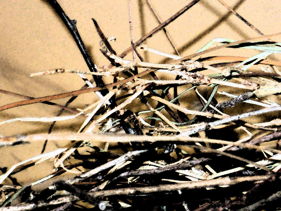Corner Of The Dove Nest Digital Art by Eric Forster