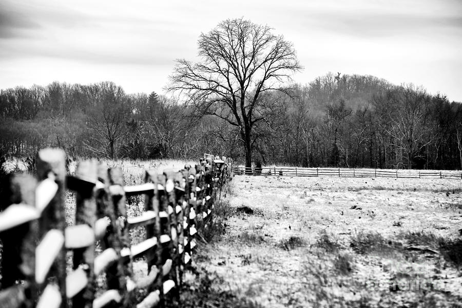 Gettysburg National Park Photograph - Cornered in Gettysburg by John Rizzuto