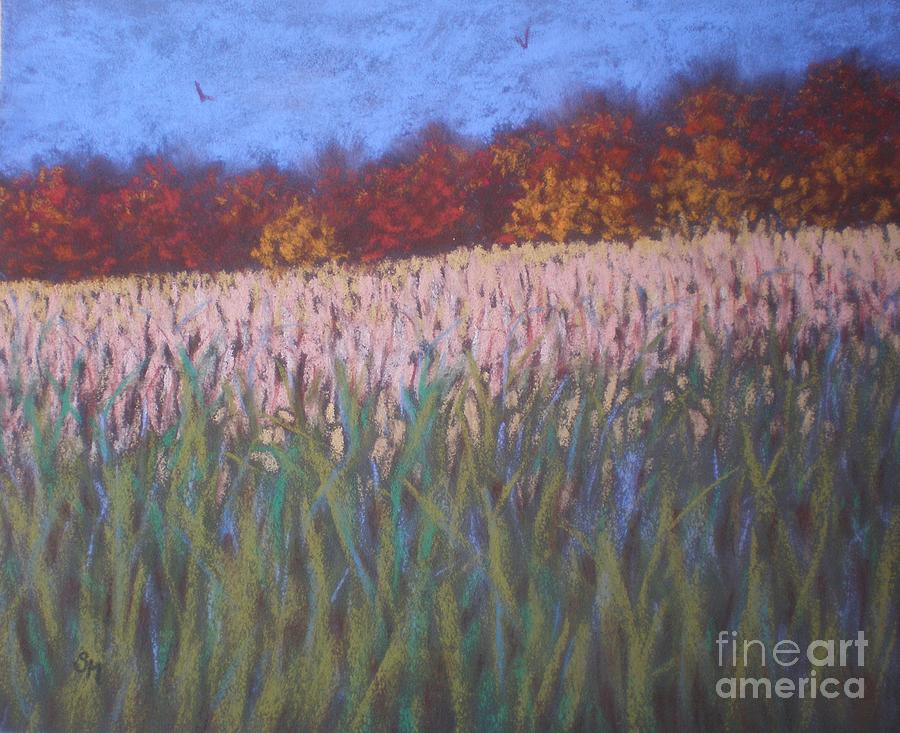 Cornfield and Maples Painting by Suzanne McKay