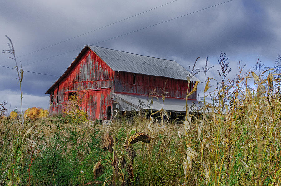 Cornfield Barn in Michigan Photograph by Gary OBoyle