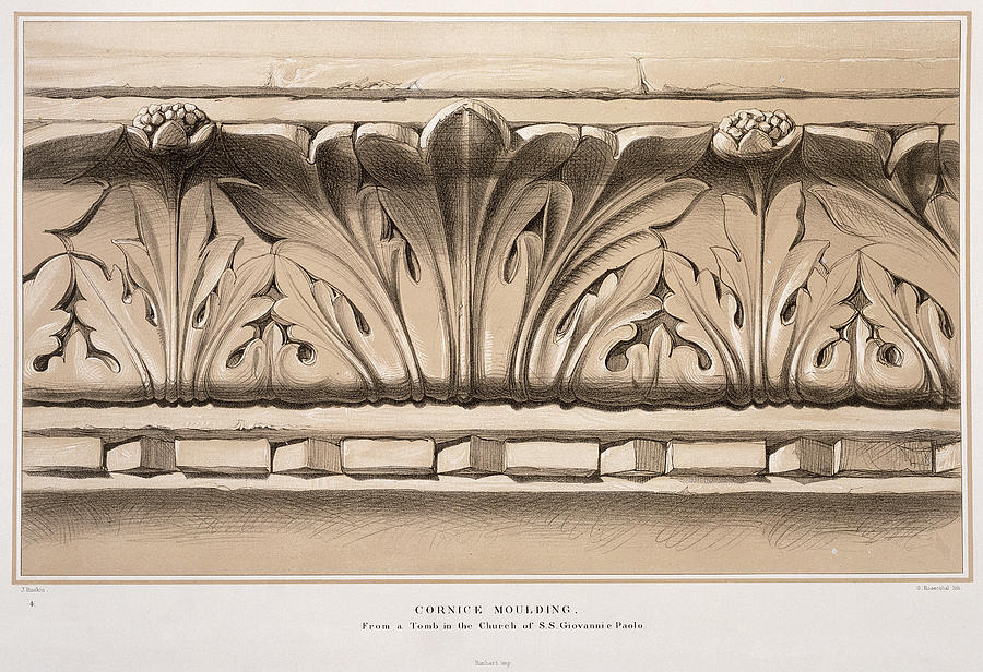 Carved Drawing - Cornice Moulding, From A Tomb by John Ruskin