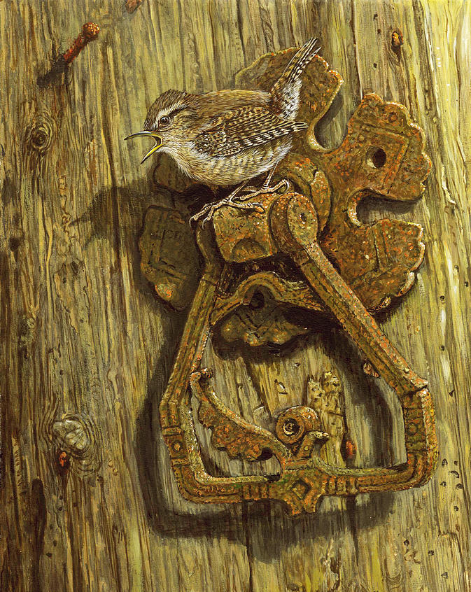Bird Painting - Cornish Wren and Door Latch by Dick Twinney