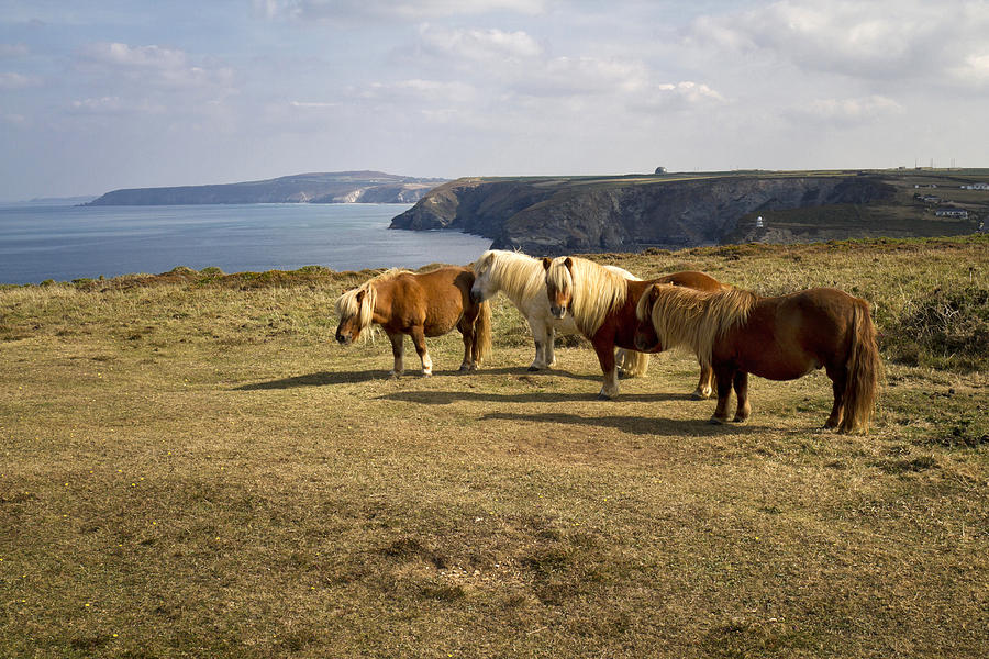 Cornwall Heritage Coastline Photograph by Shirley Mitchell