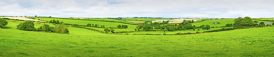 Cornwall Panorama Color Photograph by Chevy Fleet