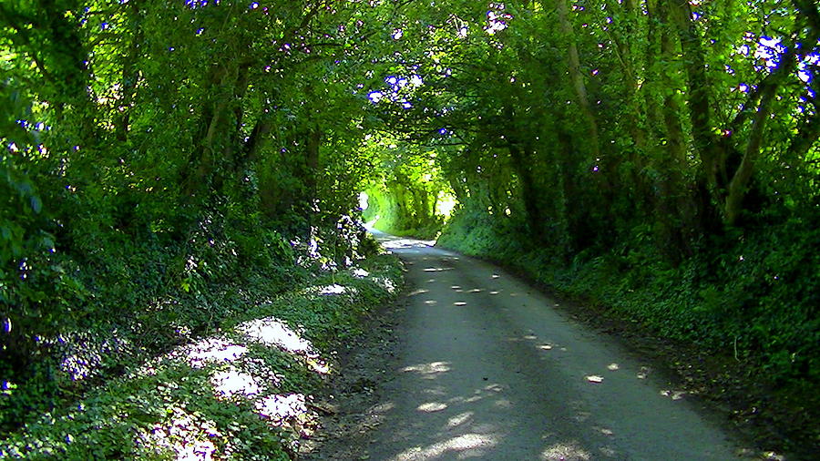 Cornwalls Green Tunnel Photograph by Nieve Andrea