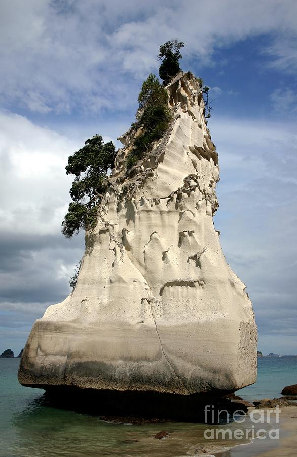 Coromandel Rock Photograph by Barbie Corbett-Newmin