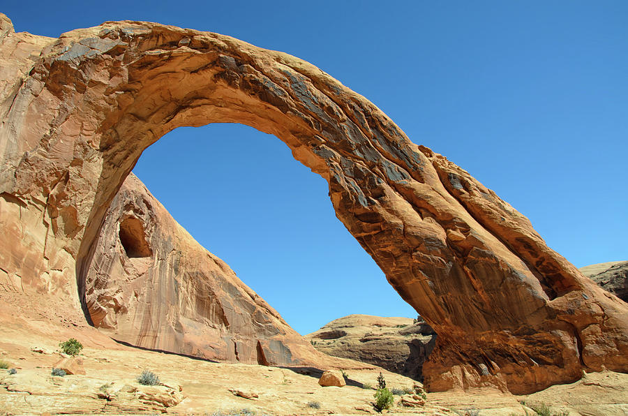 Corona Arch Photograph by Julie Rideout