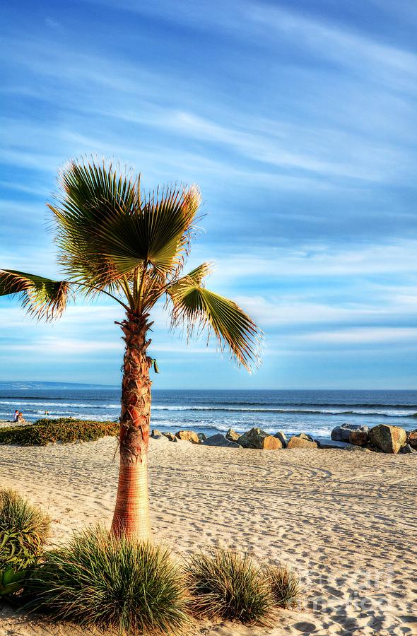 Coronado Beach Dreams Photograph by Mel Steinhauer
