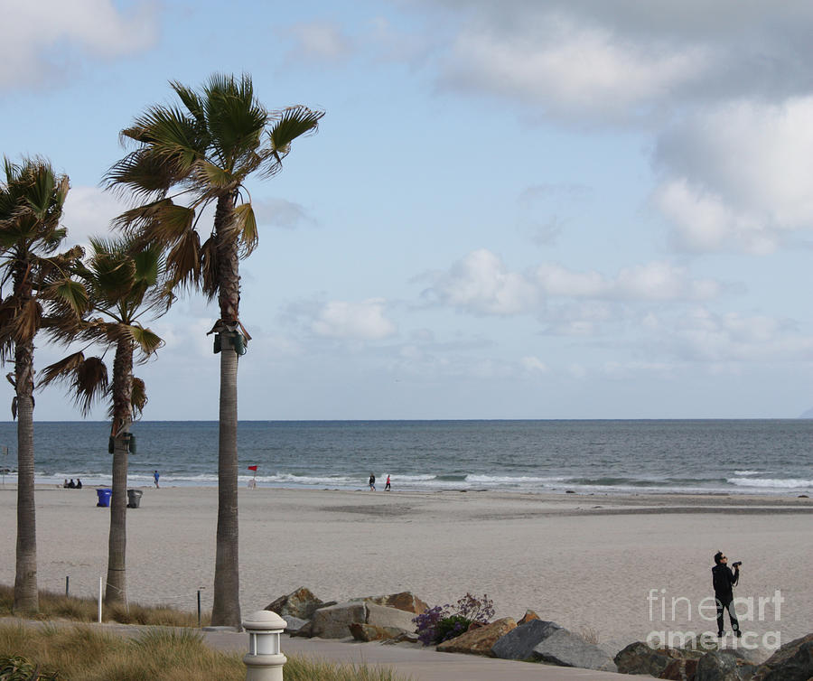 San Diego Photograph - Coronado Beach in San Diego by John Telfer